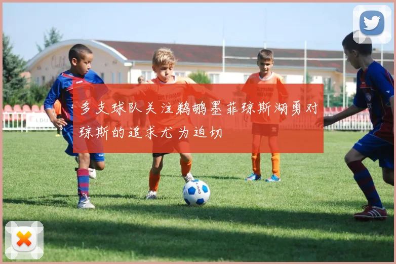 多支球队关注鹈鹕墨菲琼斯湖勇对琼斯的追求尤为迫切